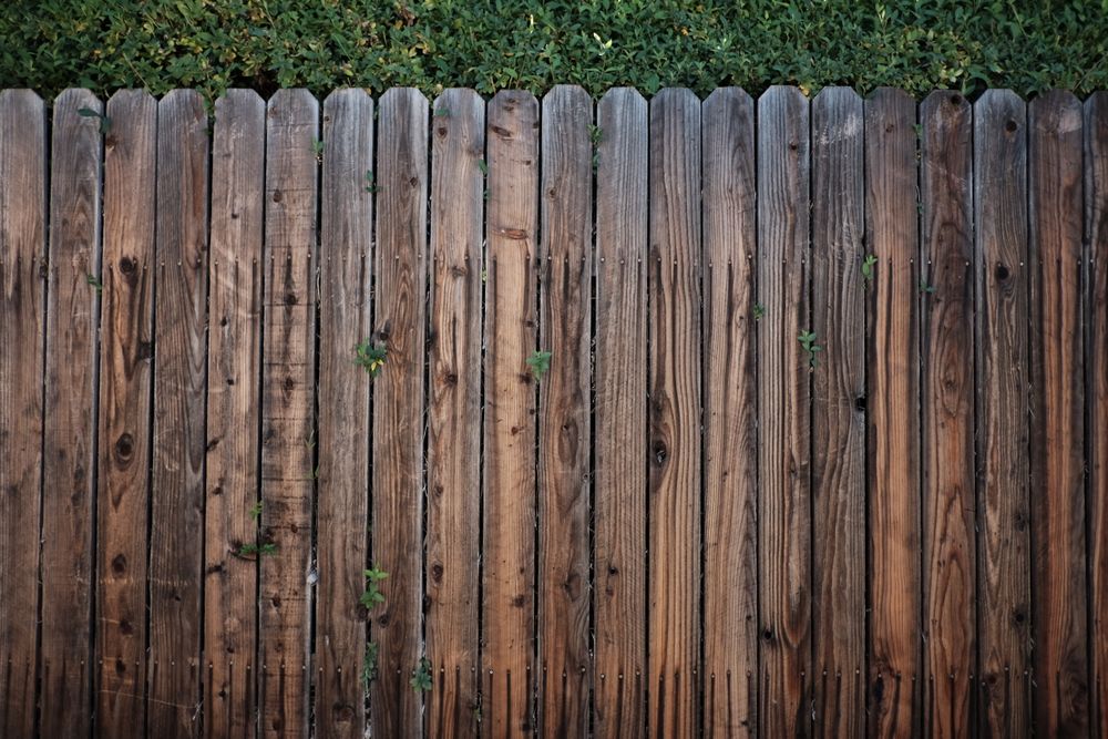 Fencing
