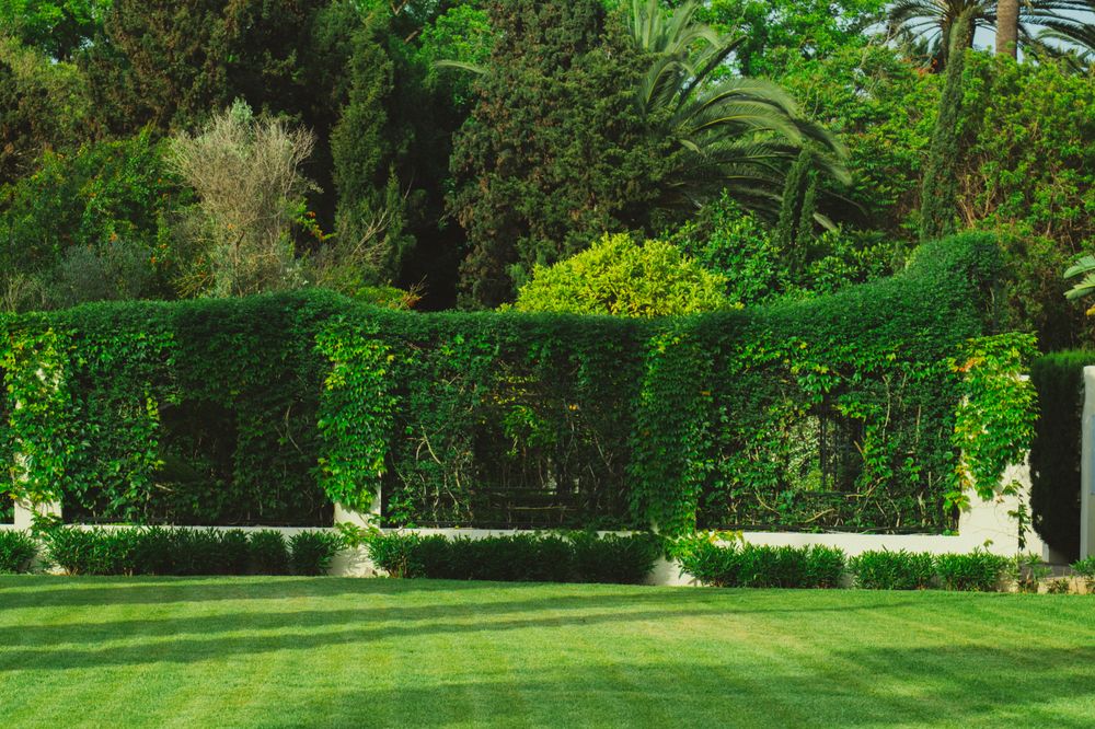 Landscaping